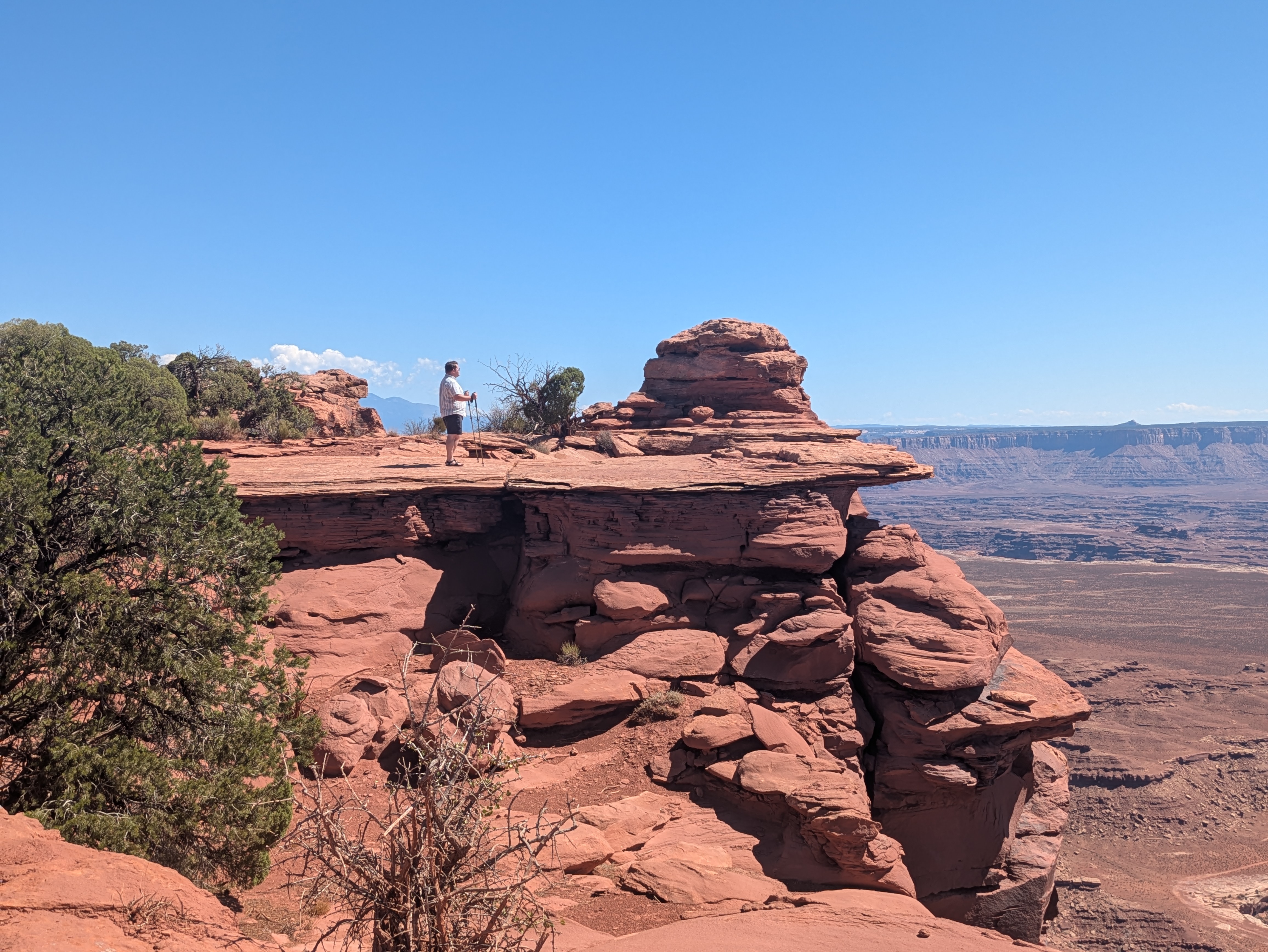 Understanding is Sexy